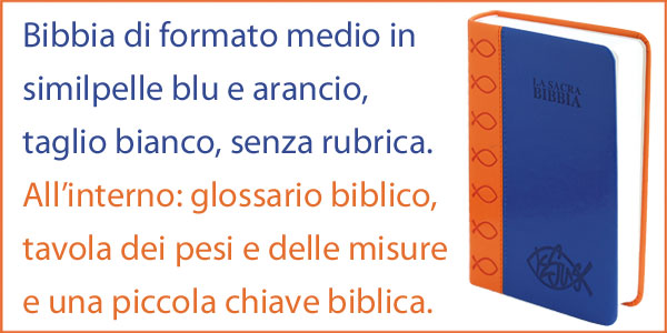 Bibbia della Nuova Diodati in formato medio blu e arancione