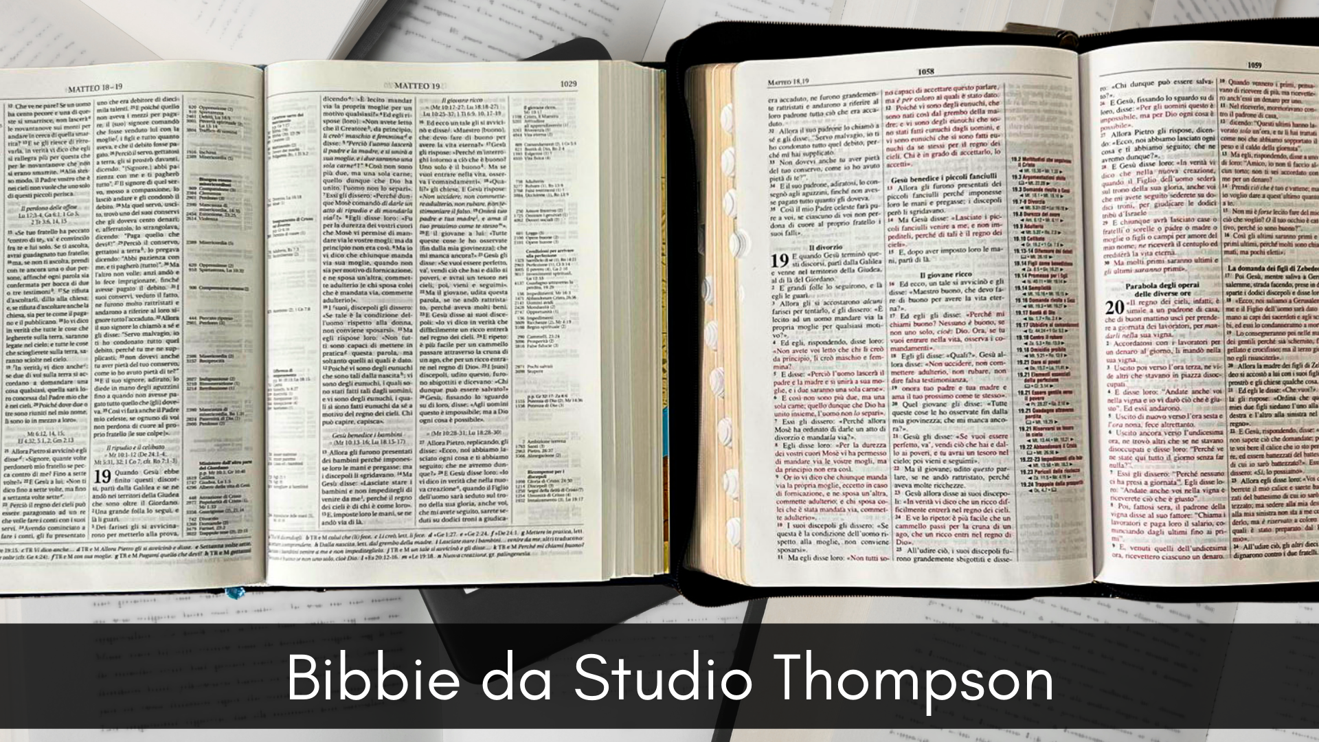 Bibbie da studio Thompson nella versione Nuova Riveduta e Nuova Diodati