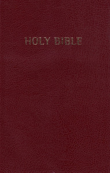 ERV Holy Bible Burgundy