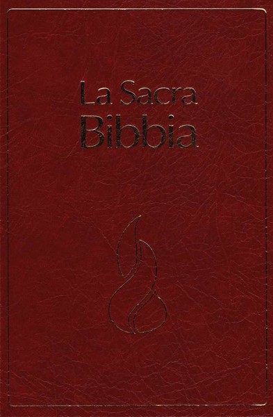 Bibbia NR94 - 32336 (SG32336) (Copertina rigida)