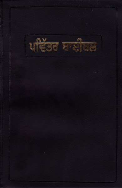 Bibbia in lingua Punjabi