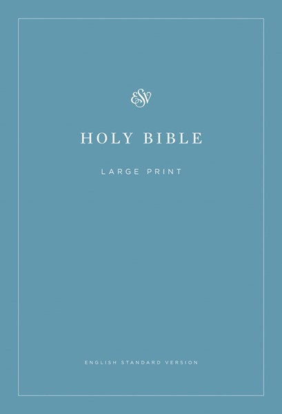 ESV Economy Bible Large Print (Brossura)