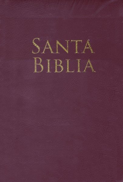 RVR60 Biblia Letra Grande Granate Tamaño manual (PVC)