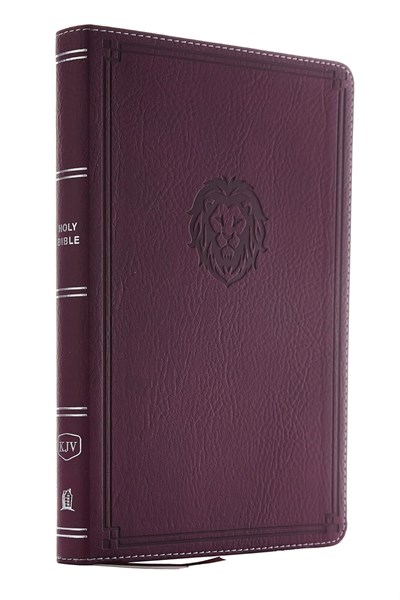 KJV Thinline Bible Youth Edition Burgundy