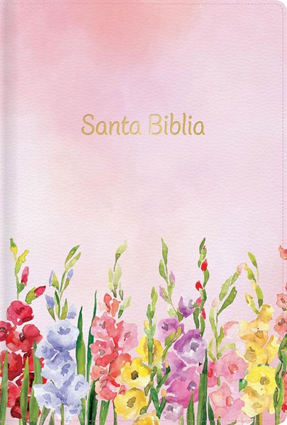 RVR60 Biblia Letra Grande Tamaño Manual con referencias