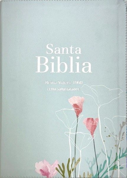 RVR60 Biblia Letra Grande Menta Fresca