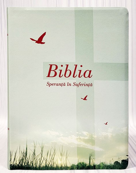 Bibbia in rumeno Speranza nella sofferenza Verde - 20700
