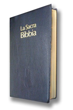 Bibbia NR94 - 31229 (SG31229) (PVC)