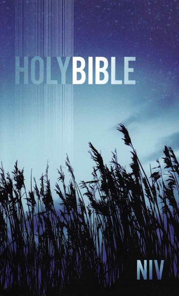 NIV Holy Bible Paperback Blue Low Cost