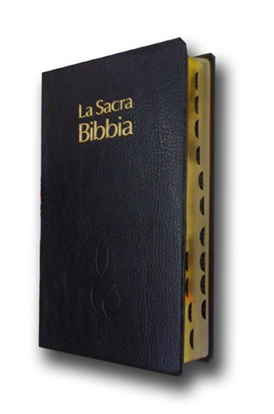 Bibbia NR94 - 32389 (SG32389) (PVC)