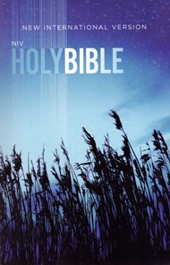 NIV Holy Bible Low cost blu