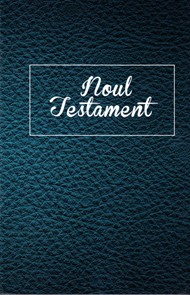 Nuovo Testamento in Rumeno