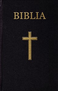 Bibbia in Rumeno