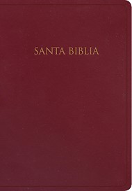 RVR60 Santa Biblia para regalos y premios