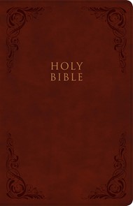 KJV Large Print Personal Size Reference Bible Burgundy
