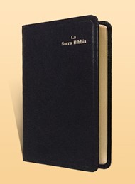 La Sacra Bibbia Diodati (1037)