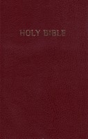 ERV Holy Bible Burgundy (Brossura)
