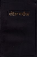 Bibbia in lingua Punjabi (PVC)