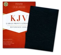 KJV Large Print Ultrathin Reference Bible (Pelle)