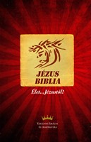 Nuovo Testamento in Ungherese in lingua corrente (Egyszerű fordítás)