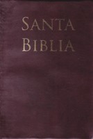Biblia Letra Grande Tamaño Manual con Referencias - RVR60 - Café (PVC)