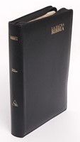 Bibbia Nuova Diodati a caratteri grandi (171.243) (Pelle)