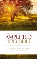 Amplified Holy Bible (Copertina rigida)