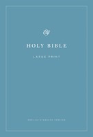 ESV Economy Bible Large Print (Brossura)
