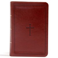 CSB Large Print Compact Reference Bible Brown (Similpelle)