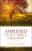 Amplified Holy Bible - Large Print (Copertina rigida)