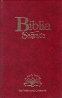 Biblia Sagrada em portugues corrente (Copertina rigida)