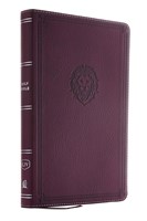 KJV Thinline Bible Youth Edition Burgundy (Similpelle)