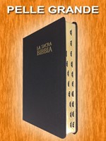 Bibbia Nuova Diodati - B03PNR - Formato grande (Pelle)