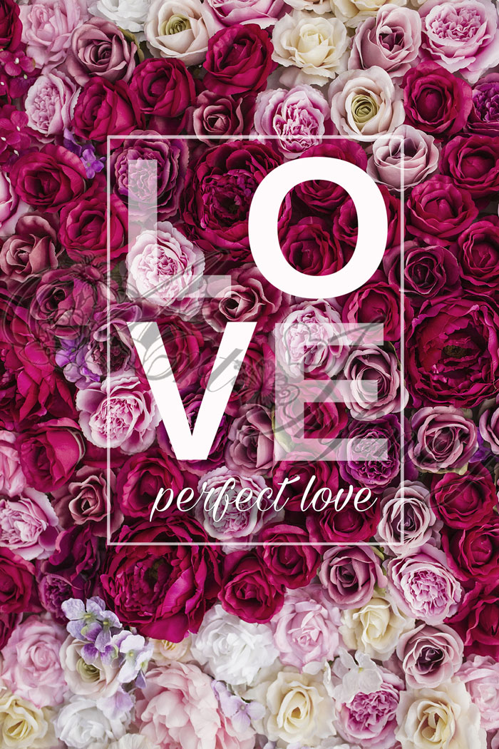 Quadro "Perfect Love" - 20x30 Rettangolare medio (VRT001)