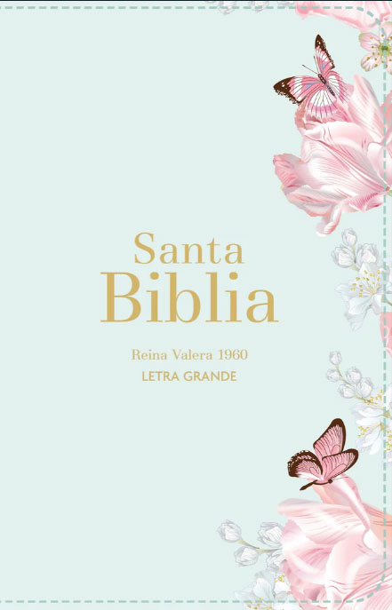 RVR60 Biblia Letra Grande Salvia Claro