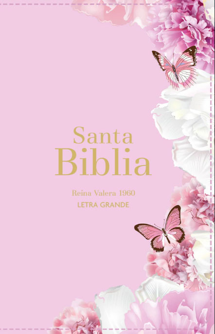 RVR60 Biblia Letra Grande Rosa Claro