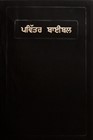 Bibbia Punjabi Media Taglio Rosso