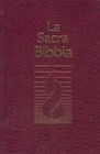 Bibbia NR94 - 31236 (SG31236)