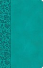 CSB Large Print Personal Size Reference Bible Teal