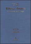 Bibbia Ebraica con Traduzione a Fronte - Agiografi